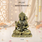 Lord Hanuman Brass Idol | Handcrafted Pure Brass Hanuman Murti for Home Temple